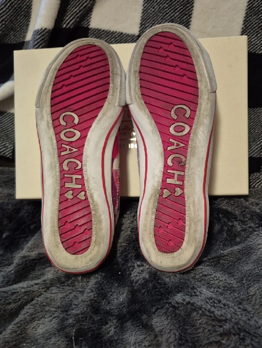 Coach Poppy Valentine  Pink & Purple Patterned Canvas Slip-On Sneakers